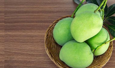 লিভারের যত্নে কাঁচা আম