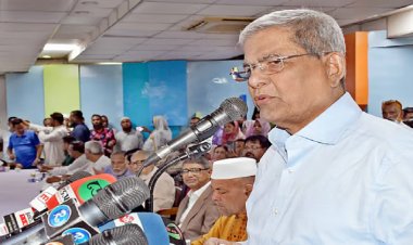 দেশে কেমন একটা অস্থিরতা চলছে: মির্জা ফখরুল