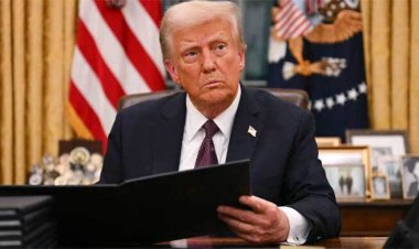  ট্রাম্প প্রশাসনের বিরুদ্ধে মামলা করেছে হার্ভার্ড বিশ্ববিদ্যালয়