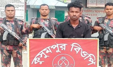 মহেশপুর সীমান্তে দুই ভারতীয় নাগরিক আটক