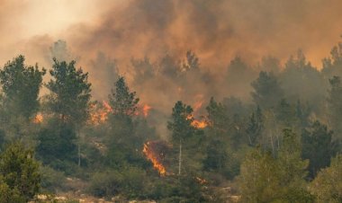 দাবানলে পুড়ছে ইসরায়েল, জেরুজালেমে যাওয়ার রাস্তা বন্ধ
