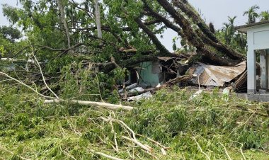 লালমনিরহাটে ঝড়ে লণ্ডভণ্ড শতাধিক বসতবাড়ি, বজ্রপাতে আহত ৬