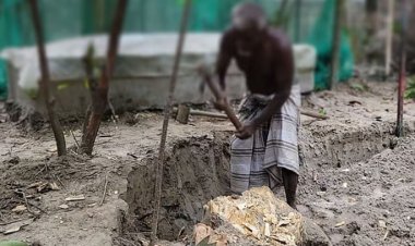 শহীদ বাবার পাশেই দাফন হবে মেয়ের, কবর খুঁড়লেন দাদা