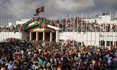 ‘জুলাই গণঅভ্যুত্থান অধিদপ্তর’ গঠন, গেজেট প্রকাশ