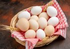 যারা ডিম খেতে পছন্দ করেন, তাদের জন্য জরুরি কয়েকটি তথ্য