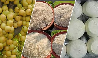 জিআই সনদ পেল কিশোরগঞ্জের রাতাবোরো চাল ও পনির