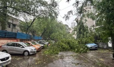 প্রবল বৃষ্টি ও ঝোড়ো হাওয়ায় বিপর্যস্ত দিল্লি, ৪ জনের মৃত্যু