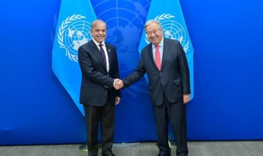 নিরাপত্তা পরিস্থিতি নিয়ে জাতিসংঘ মহাসচিব ও শাহবাজ শরিফের ফোনালাপ