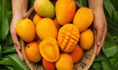 গরমকালে দীর্ঘদিন আম টাটকা রাখবেন যেভাবে