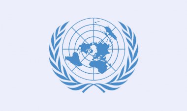 জাতিসংঘের নিরাপত্তা পরিষদকে যে বার্তা পাঠাল পাকিস্তান