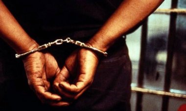 সারাদেশে পুলিশের বিশেষ অভিযানে গ্রেপ্তার ১৫৩৮ জন