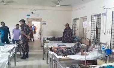 সীমান্তে চোরাকারবারীদের হামলায় ২ বিজিবি সদস্য আহত