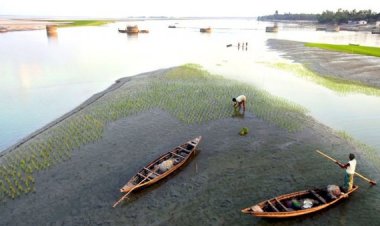 পশ্চিমবঙ্গে আত্রাই নদীর বাঁধ ফের ভেঙে পড়েছে, প্রভাব পড়তে পারে বাংলাদেশে