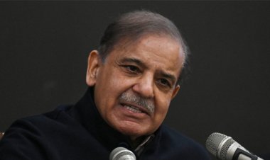 ভারত এই পরাজয় কখনো ভুলবে না: শাহবাজ শরিফ