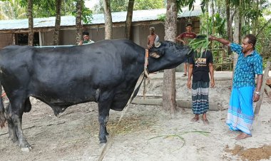 বীর বাহাদুরের দাম চাওয়া হচ্ছে ৯ লাখ